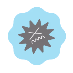 cataloghouse mist