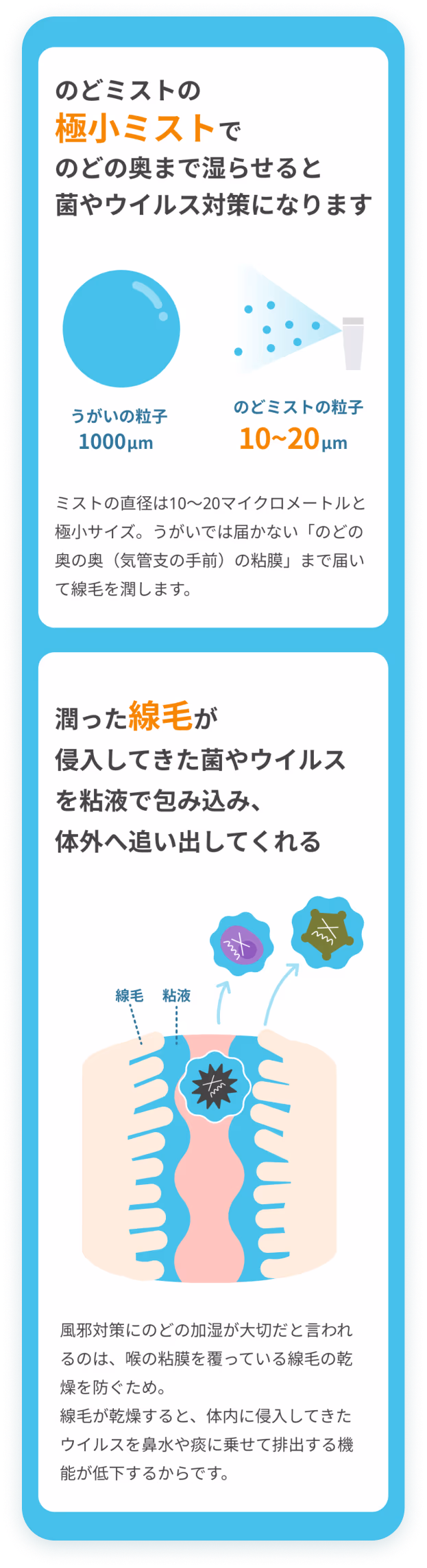 cataloghouse mist